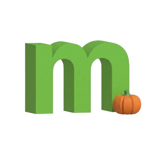 modSTORAGE logo
